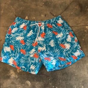 Chubbies swim trunks